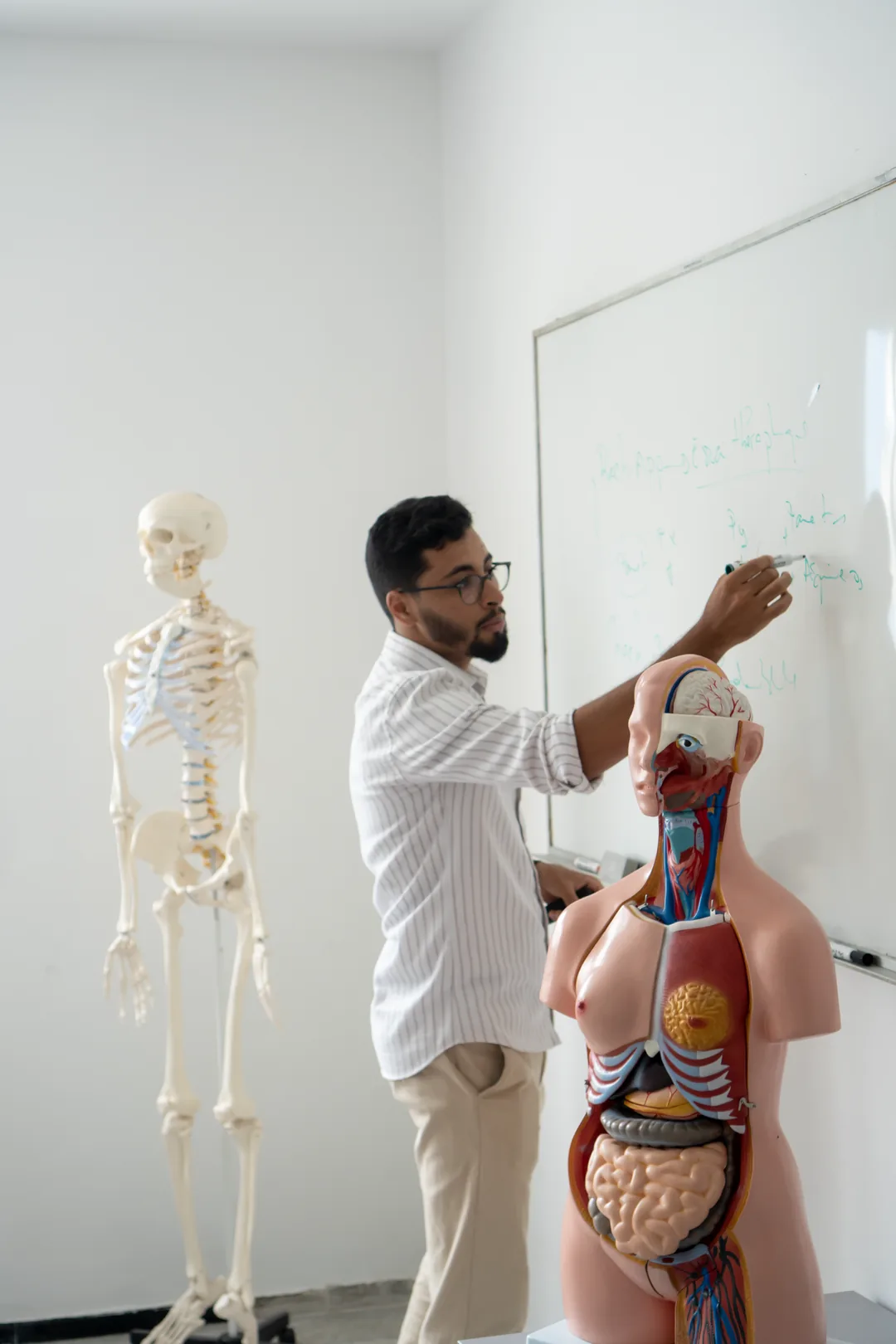 Cours d'anatomie — Institut Santinov, formation en soins infirmiers à Casablanca